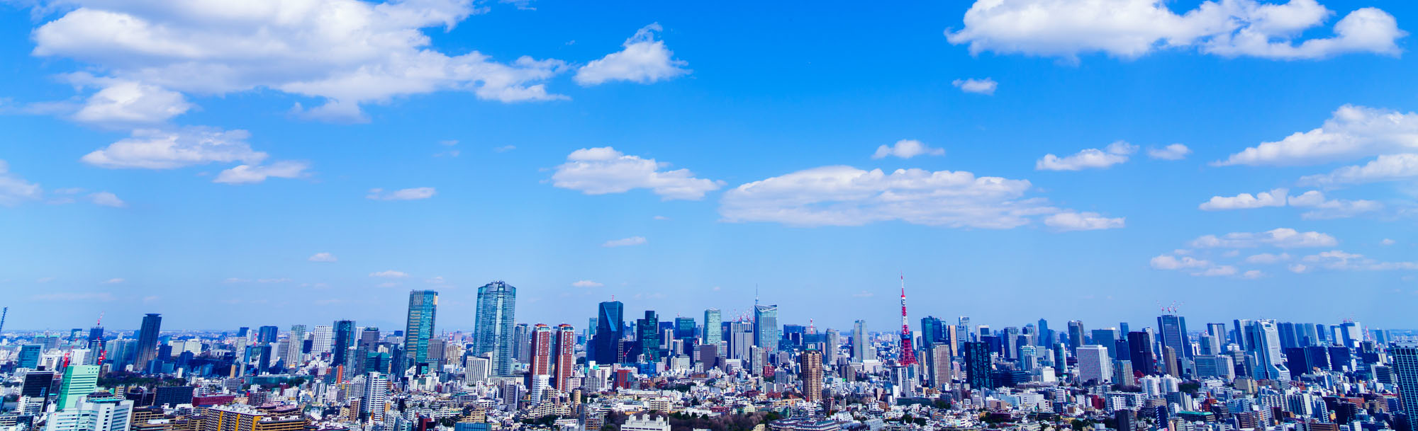 会社案内ページタイトル背景